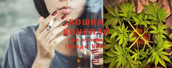 трава Алзамай