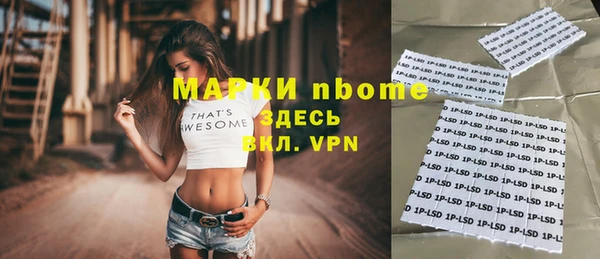шишки Ветлуга