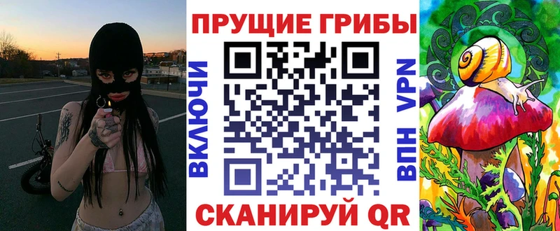 Галлюциногенные грибы мицелий МЕГА ссылка Гдов купить наркотик